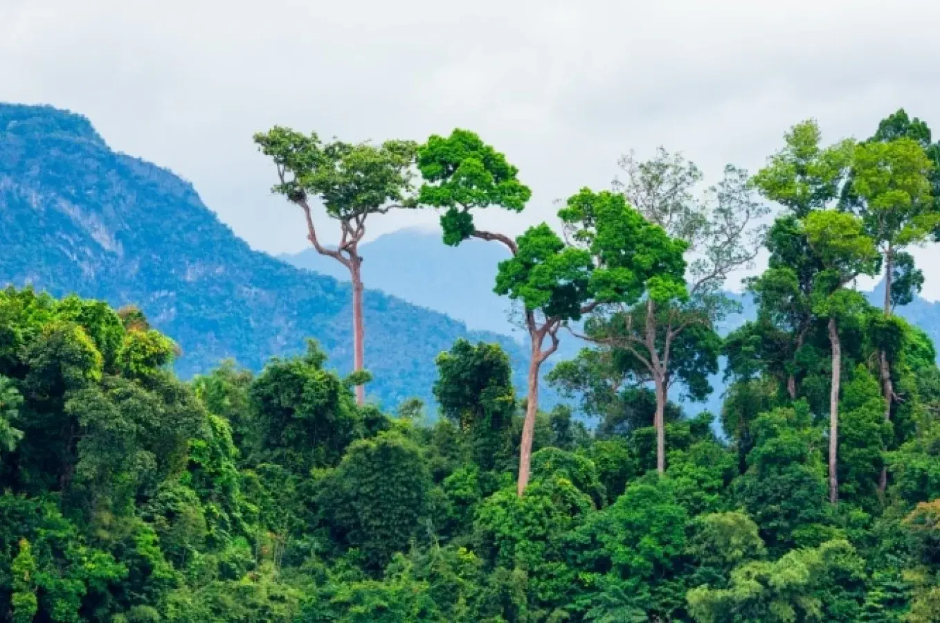 GO₂ Delivery’s Commitment to Sustainability