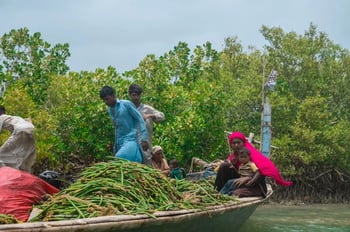 people on boat full of grass