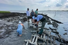 group of people cleaning up 