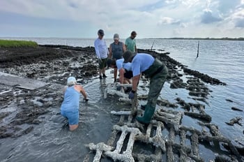 group of people cleaning up 