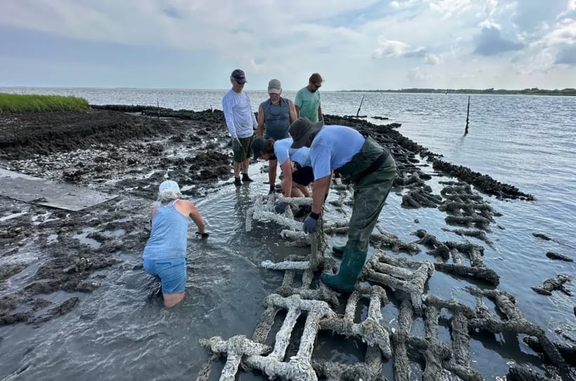 group of people cleaning up 