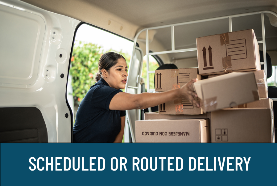 Scheduled or routed delivery via same day courier services